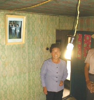 Fluorescent Bulb Lights Village Home